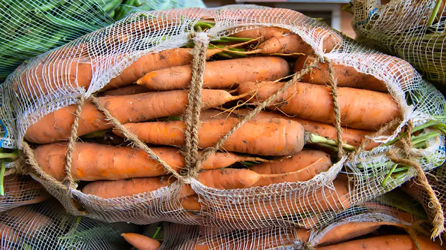 Bundled carrots in a mesh bag ready for storage
