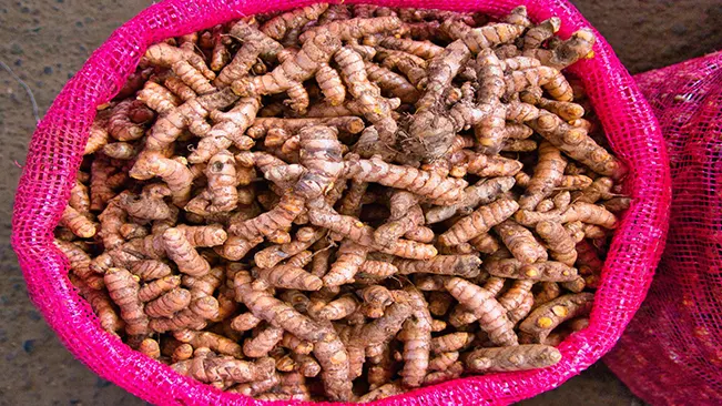 pink sack filled with raw turmeric roots