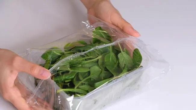 Storing Harvested Basil