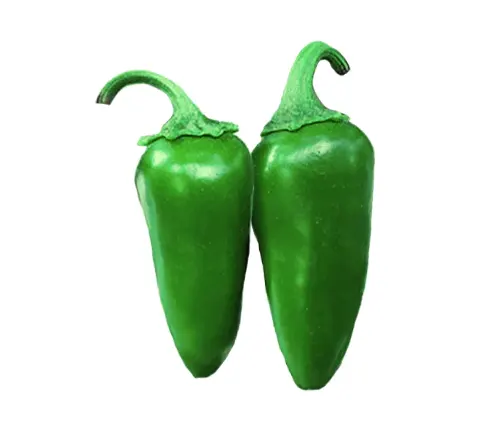 tam jalapeno