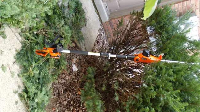 Pole saw resting on a trimmed bush near a concrete path and a brick wall