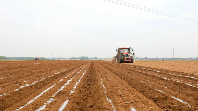 Tilling the Soil