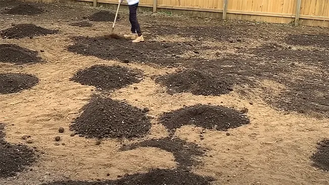 A person in white pants and beige boots spreading dark topsoil in patches over lighter soil in a backyard garden area.