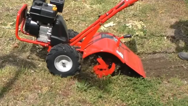 Person mowing lawn with red push mower.