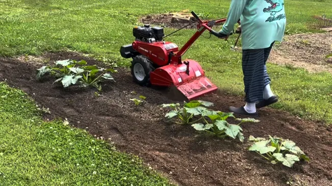 person using a red tiller on a garden bed with green plants