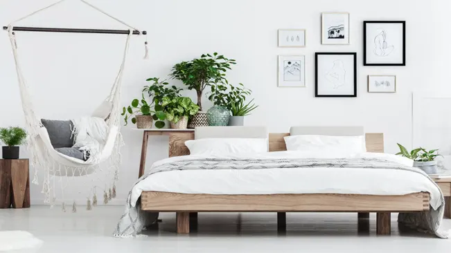 Best Bedroom Plants: You Can Try