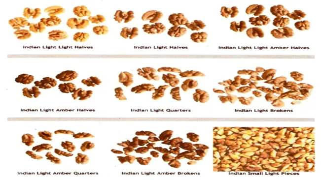 Various grades of walnut halves and pieces categorized and displayed on a white background.