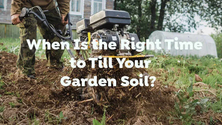When Is the Right Time to Till Your Garden Soil?