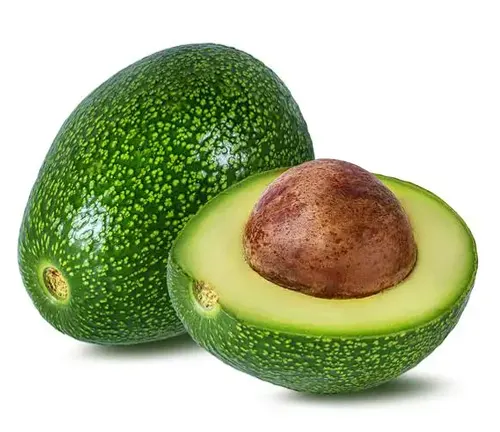 Zutano Avocado