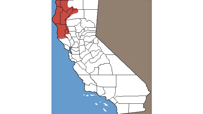 Map of California with areas highlighted in red indicating the range of the Coastal Giant Salamander.

