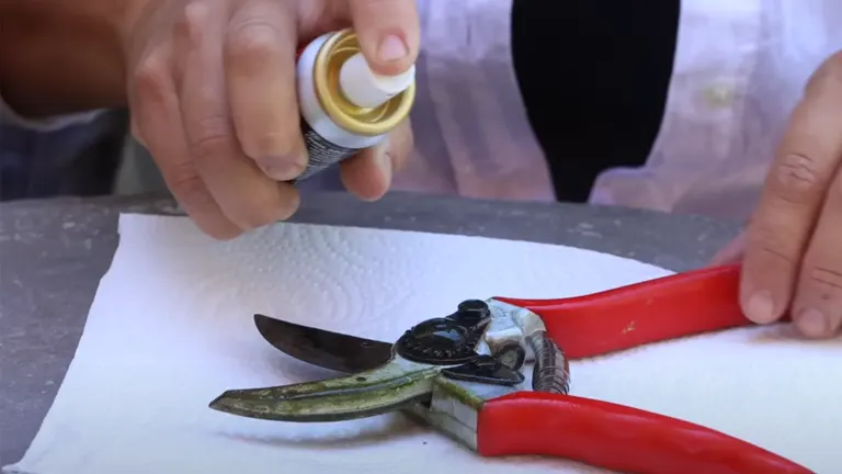 A person's hand spraying lubricant on the hinge mechanism of red-handled bypass pruning shears, resting on a paper towel.