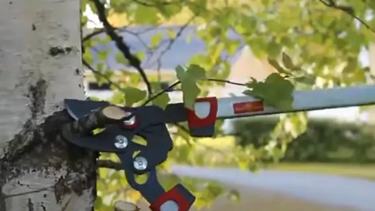 A motion-blurred image of a black and red bypass lopper in action, cutting through a tree branch surrounded by green foliage.