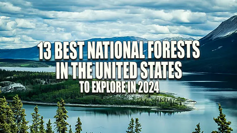 13 Best National Forests in the U.S. to Explore in 2024: A Traveler’s Guide