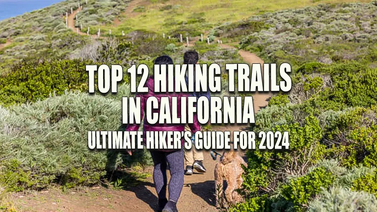 Top 12 Hiking Trails in California: Ultimate Hiker's Guide for 2024