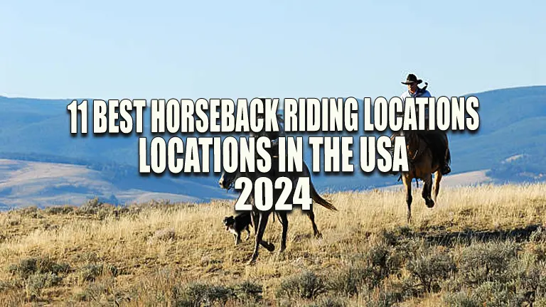 11 Best Horseback Riding Locations in the USA for 2024: The Ultimate Guide