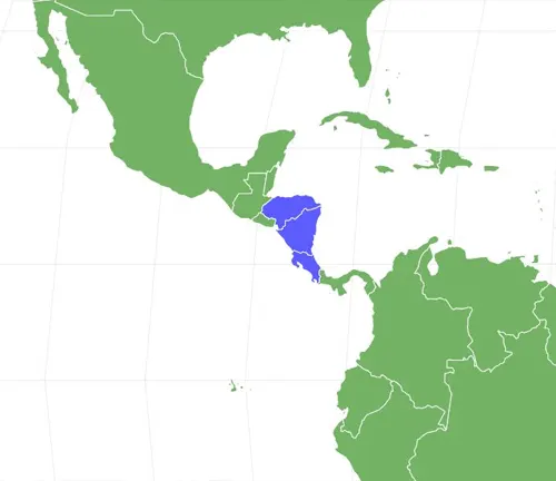 World map showing the location of the country with a distribution of Curly Hair Tarantula.