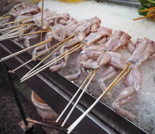 Chicken skewers on ice with skewers sticking out of them, perfect for "BullFrogs" Culinary Use.
