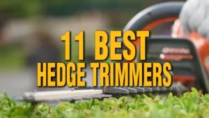 11 Best Hedge Trimmers of 2024