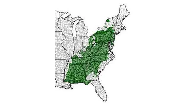 Map showing the distribution of the red salamander in the eastern United States.