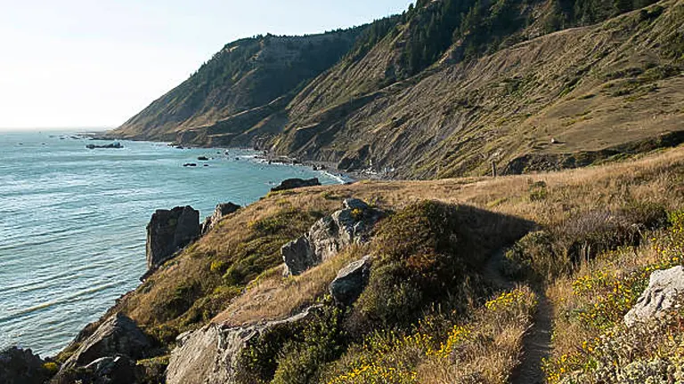 A coastal trail winding along a cliff with views of the ocean and hillsides dotted with wildflowers.
