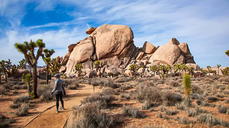 A person walking on a desert trail toward large rock formations surrounded by Joshua trees under a blue sky.