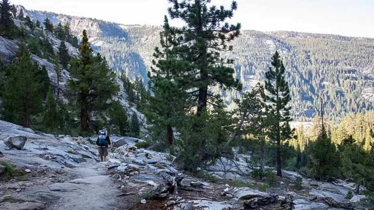 A lone hiker with a backpack on a rocky mountain trail, surrounded by tall pine trees with a view of a forested valley in the background.