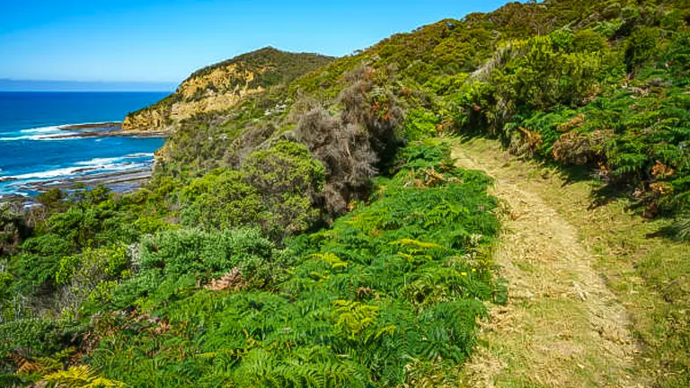 A coastal path winding through lush greenery with views of a rugged shoreline and the expansive ocean under a clear blue sky.