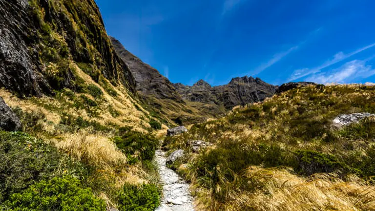 A narrow stone path cutting through tall, golden tussock grass with imposing mountain peaks ahead under a vivid blue sky with streaky clouds.