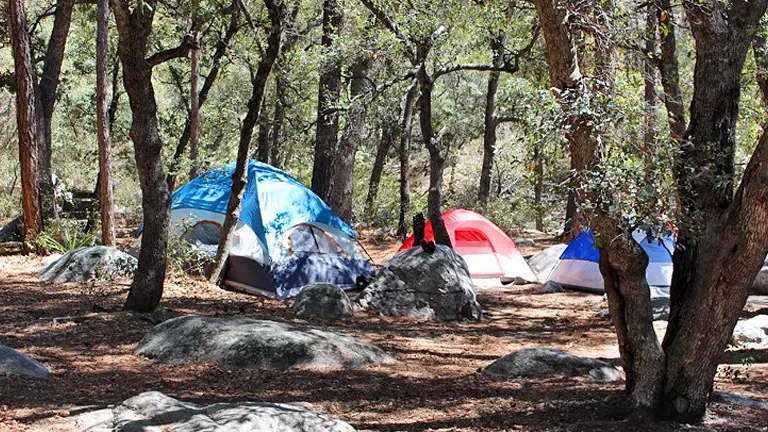 A woodland campsite dotted with colorful tents nestled among trees and boulders, offering a rustic outdoor experience.

