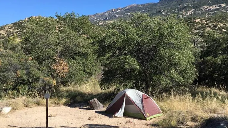 A solitary tent pitched in a sandy clearing, flanked by green shrubbery with a backdrop of mountainous terrain under a clear blue sky.
