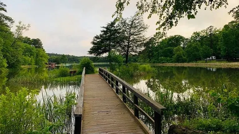 A tranquil boardwalk meandering over a calm lake surrounded by lush trees, with a hazy sky above, creating a serene landscape.


