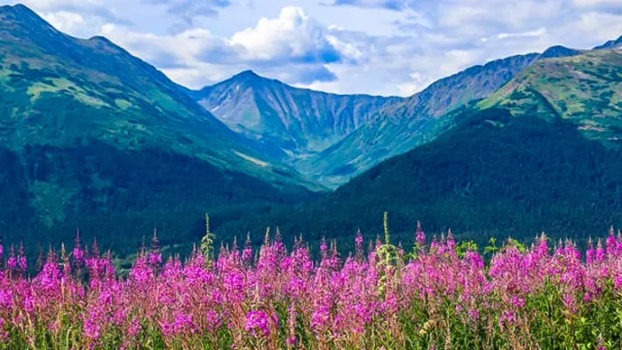 Explore the Top 12 State Parks in Alaska for 2024: Your Expert Guide