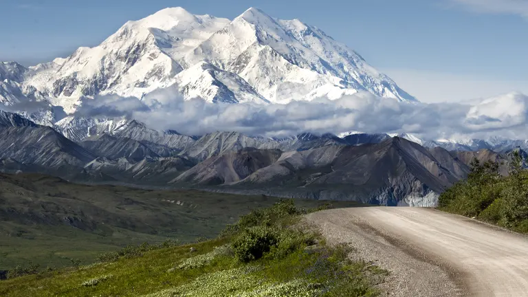 A winding gravel road leading through a lush Alaskan landscape with a clear view of Denali's snow-capped peak towering above the clouds and surrounding mountain ranges.