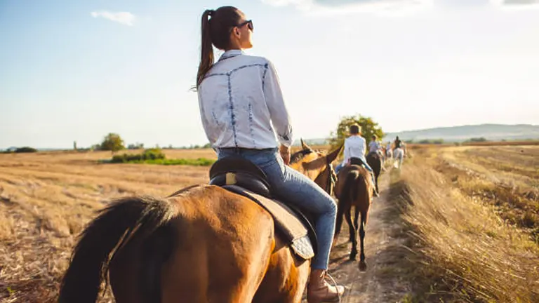 11 Best Horseback Riding Locations in the USA for 2024: The Ultimate Guide