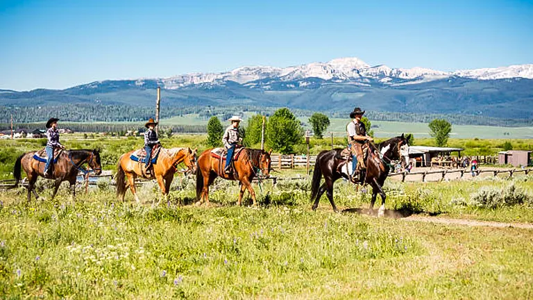 A line of riders on horseback in a vibrant green field, with a clear blue sky and distant snow-capped mountains forming a picturesque backdrop.
