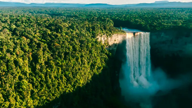 An aerial view of the Kaieteur Falls in Guyana, where a powerful stream of water plummets into a mist-covered basin amidst the expansive, dense rainforest.
