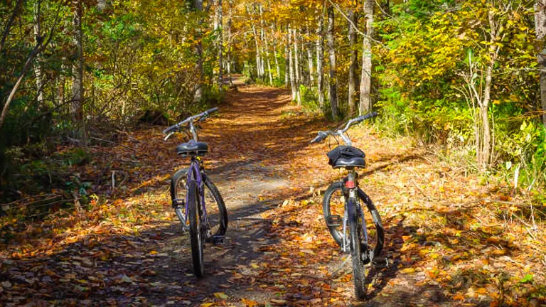 Discover the Top 12 Mountain Bike Trails in Michigan for 2024: Ultimate Riders' Guide