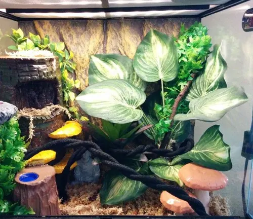 A small terrarium with plants and other items inside, ideal for setting up a Crested Gecko Habitat.