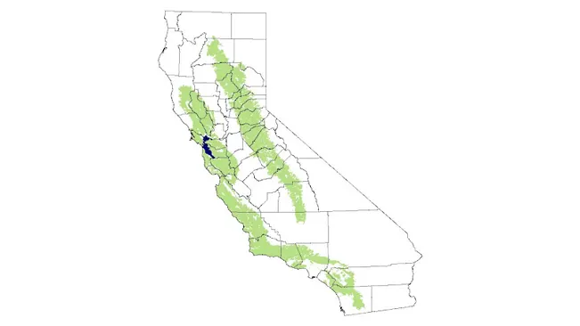 Map of California highlighting the habitat range of the California Newt in green, with a specific concentration marked in blue.