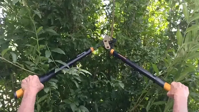 Two hands holding a Fiskars PowerGear Bypass Lopper with extended black and orange handles, positioned to trim a branch in a lush green shrubbery.