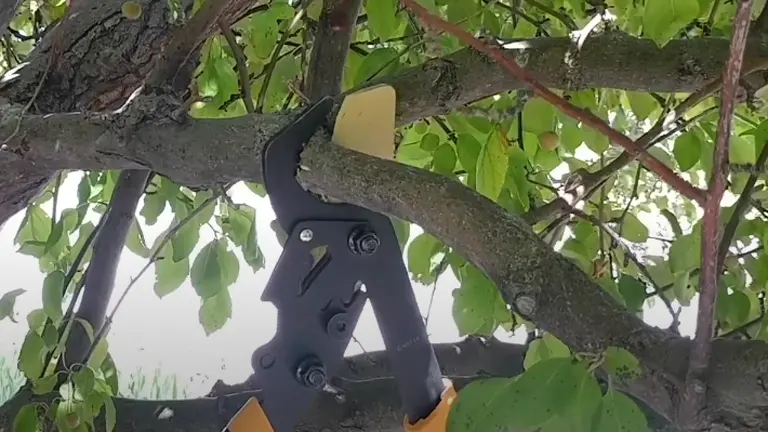 A Fiskars PowerGear Bypass Lopper positioned open on a tree branch, ready to trim, surrounded by green foliage, illustrating the tool's use in a garden setting.