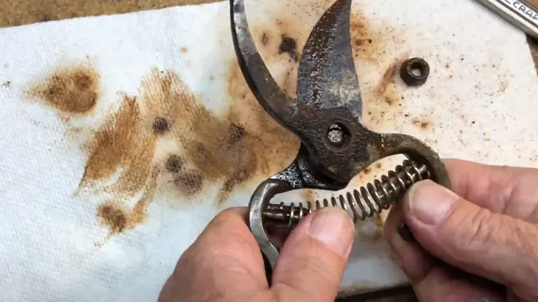 A close-up of a person’s hand cleaning a rusty, well-used bypass pruning shear with a coiled spring, resting on a stained paper towel.