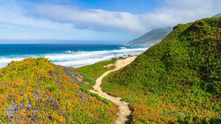 A narrow trail hugs a vibrant, plant-covered hillside, leading towards a picturesque beach with rolling ocean waves and a foggy mountain backdrop.