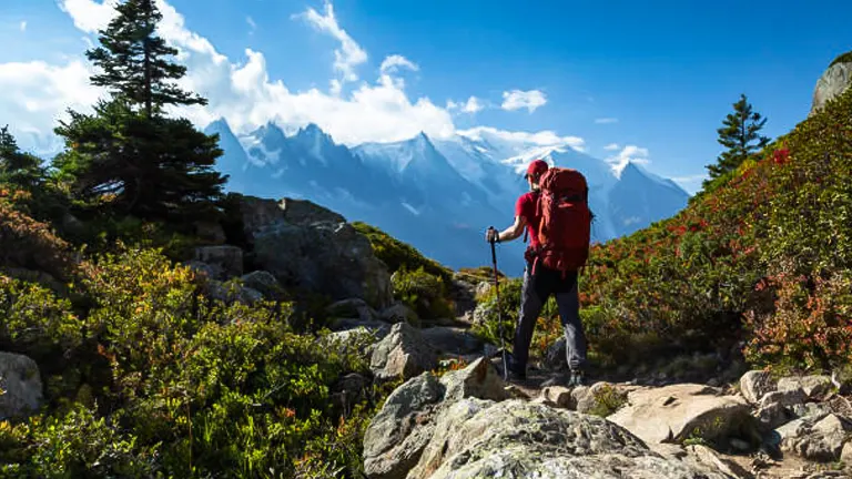 A hiker with trekking poles and a red backpack navigating a rocky mountain trail with alpine foliage, with snow-capped peaks in the distance under a clear blue sky.