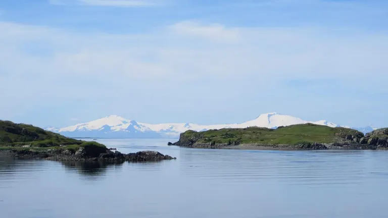 Calm blue waters with rocky outcrops and greenery in the foreground, leading to distant snow-covered mountains under a clear sky in an Alaskan coastal setting.