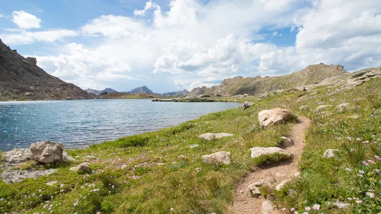A narrow trail skirting the edge of a sparkling alpine lake dotted with wildflowers, leading through a rugged mountain landscape under a sky with soft clouds.