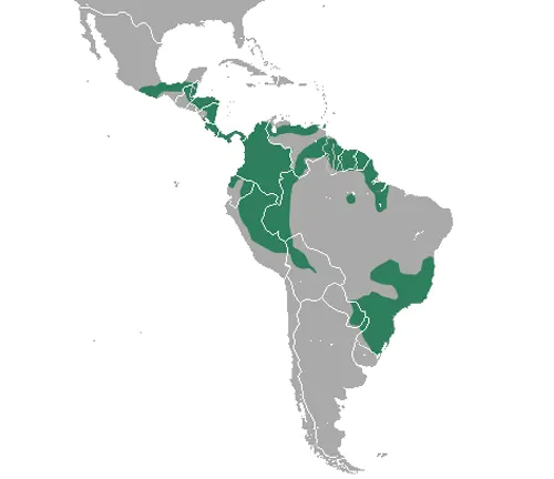 Map of South America with distribution of Water Opossum.