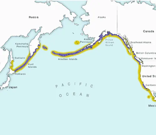 Map showing the route of the Pacific Ocean with "Sea Otter" Distribution.