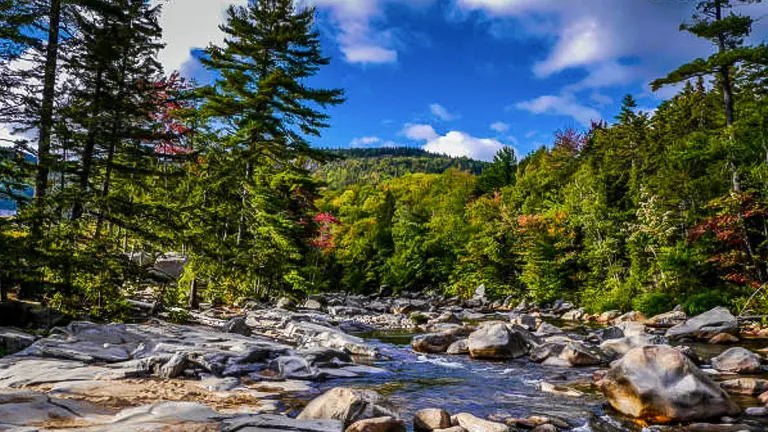 A rocky stream flows through White Mountain National Forest, flanked by evergreens and early autumn colors under a cloudy sky.