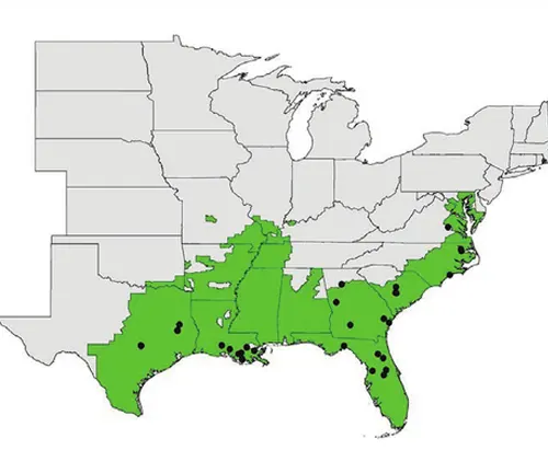 Map of US showing distribution of US National Forest System with "Tree Frogs" Distribution.